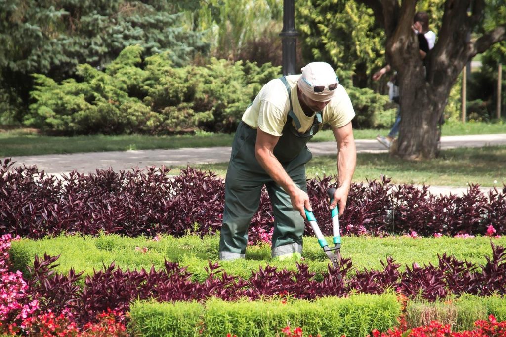 Hovenier in Hengelo werkt aan tuinontwerp en aanleg van een prachtige groene buitenruimte