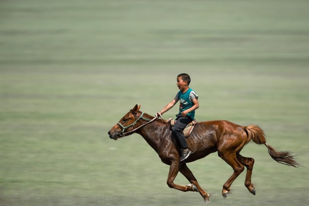 Manege in Uden waar paardenliefhebbers kunnen leren rijden, paarden stallen en deelnemen aan activiteiten